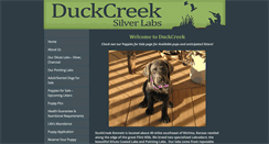 Desktop Screenshot of duckcreeksilvers.com